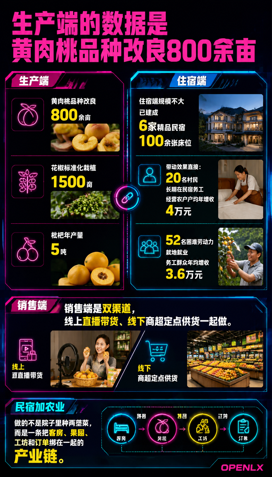 农文旅融合项目怎么落地：民宿加农业的三种设计模型：三、合作方与利益分配：农户、村集体和民宿各占什么